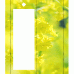 短冊　菜の花