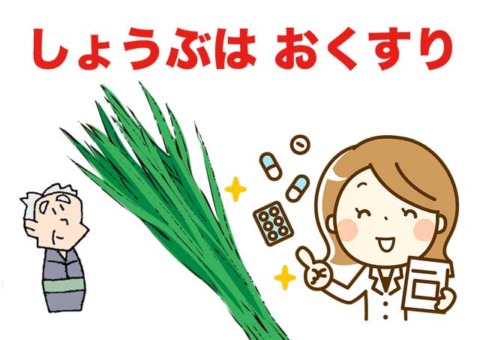 菖蒲は-お薬