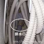 洗濯機の排水口